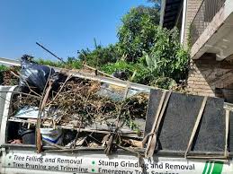 Best Same-Day Junk Removal Services  in Cayuga, IN